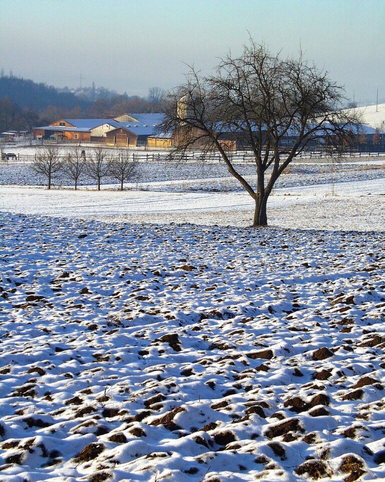 landscape, farm, rural-77293.jpg