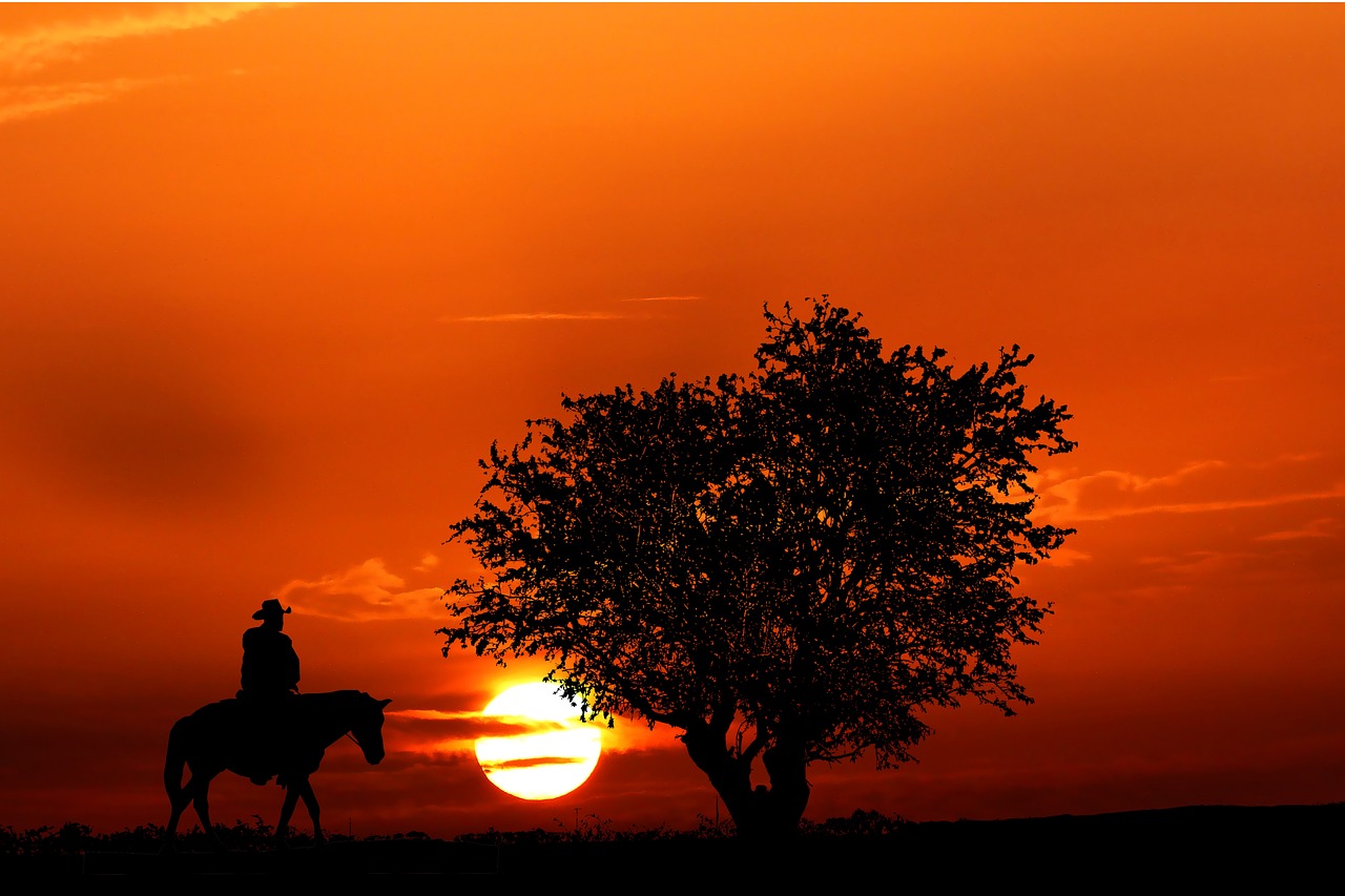 sunset, cowboy, silhouette-5511638.jpg